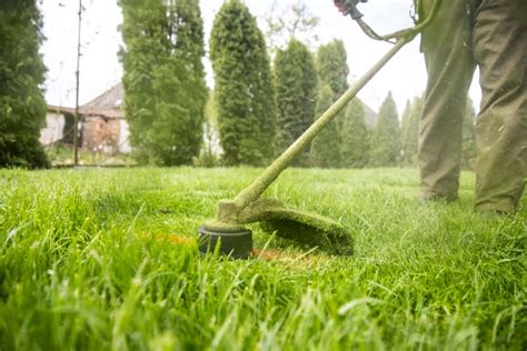 Expert Lawn Care Tips For Lush Green Garden