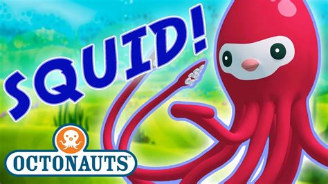 Octonauts Giant Squid Cartoon