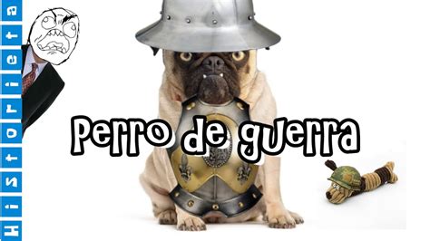 Yo Soy Toto T04 E17 Perro De Guerra YouTube