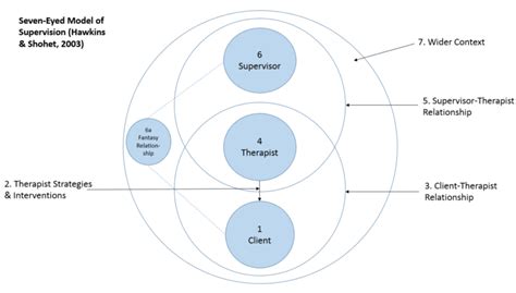 Seven Eyed Model Of Supervision Diagram Online In Person