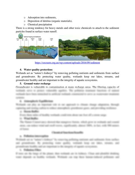 SOLUTION: Benefits and functions of wetland - Studypool