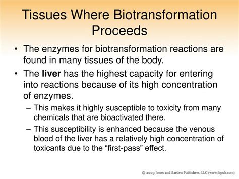 Ppt Chapter Biotransformation Powerpoint Presentation Free