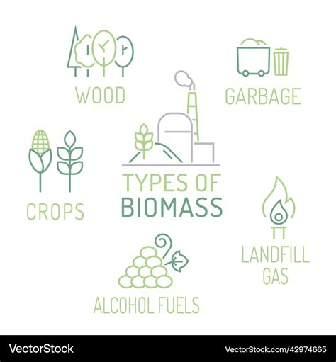 Types Of Biomass Vertical Poster Royalty Free Vector Image