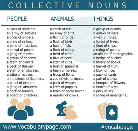 Collective Nouns Persons Places And Things Collective Nouns Learn