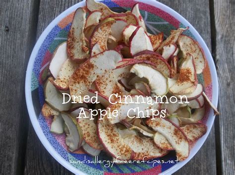 Dried Apple Chips | SANDI\'S ALLERGY FREE RECIPES