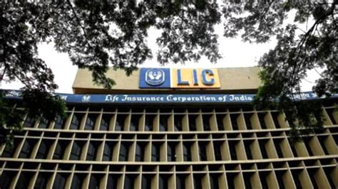 Lic Asks Policyholders To Update Pan Details To Participate In Ipo Here S How To Do It