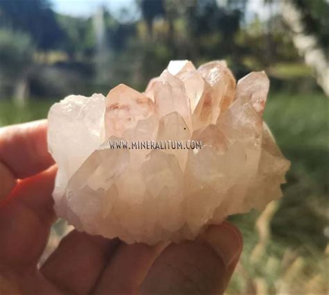 Cuarzo Blanco Mineralitum Exclusive Minerals Tienda Minerales Online