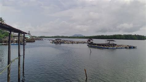 Rekomendasi Wisata Alam Di Tanjung Pinang Menyusuri Hutan Mangrove Di