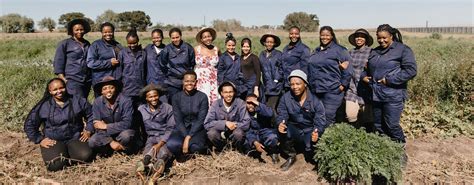 From Seed To Reality A Three Year Reflection Of Spier Wine Farm