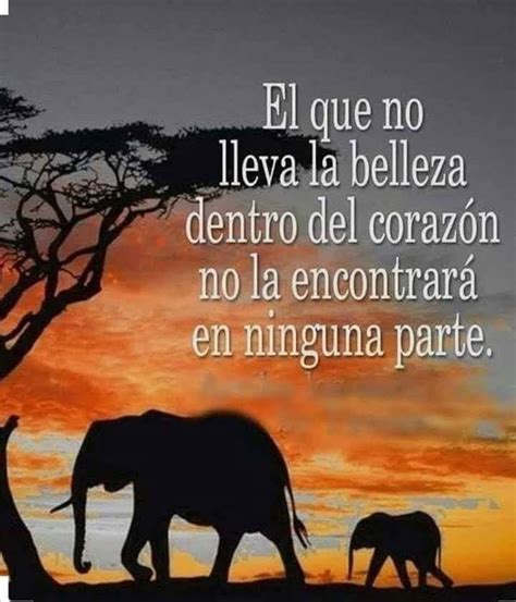 Fotos De Hilda Sanjurjo En Naturaleza Y Frases Hermosas