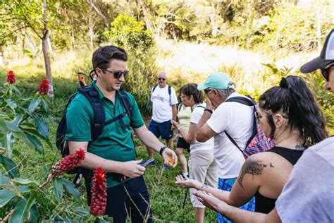 Maui: Hike To The Rainforest Waterfalls With A Picnic Lunch