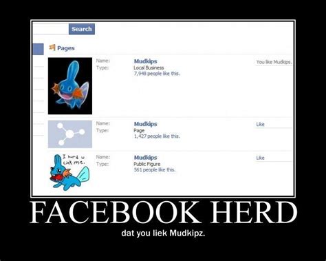 Facebook Herd I Herd U Liek Mudkips Know Your Meme