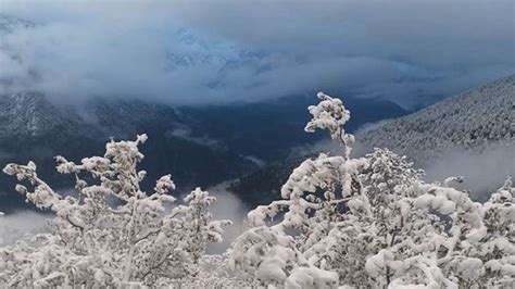 Kalpa in Himachal wrapped in snow blanket – India TV