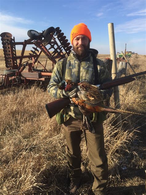 Pheasant Hunting - Best Gun Dogs