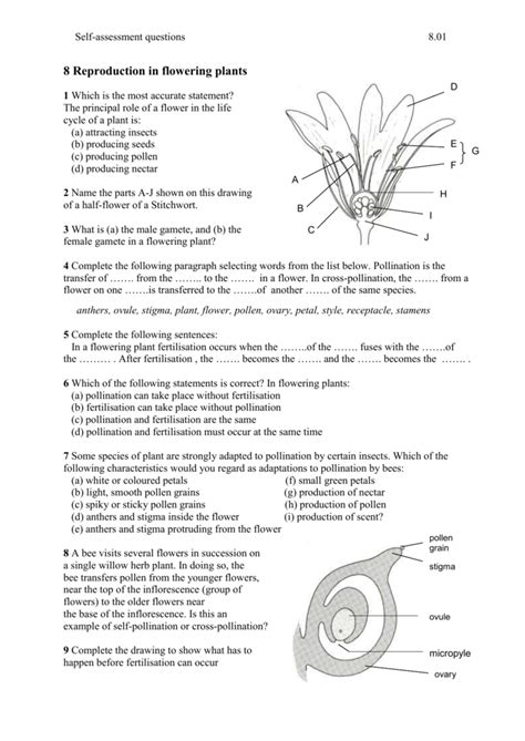 Reproduction in flowering plants