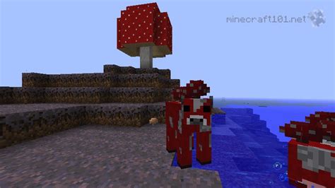 Mushrooms Minecraft 101