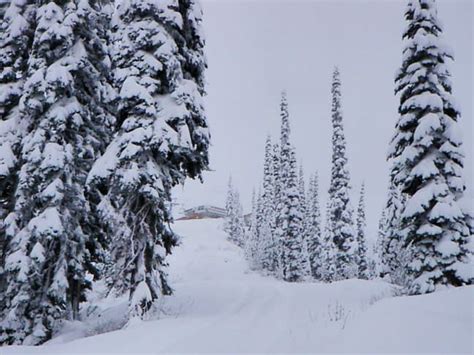 PHOTO SNOW REPORT - FERNIE Opening Early with 1.6m Snow | Mountainwatch