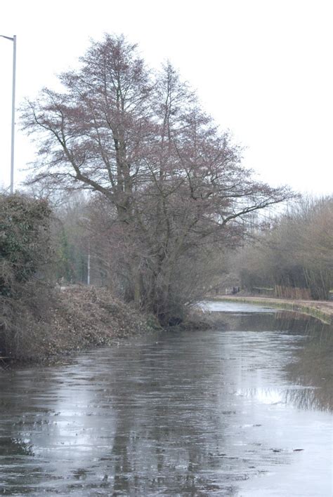 Canal To Morse Lock 30 Jan 11 438 Roger Bunting Flickr