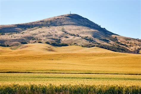 Beautiful Aerial View of the Palouse Region of Eastern Washington State ...