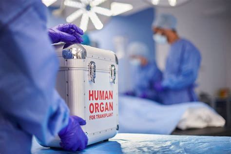 Study Measures Impact Of Pausing Organ Transplants In Pandemic News