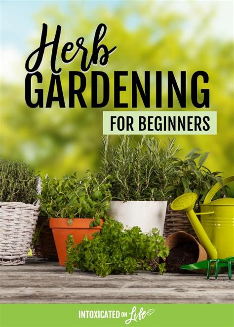 gardening for beginners with the text herb gardening for beginners in ...