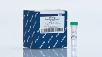 Qiagen Onestep Rt Pcr Kit Rt Pcr