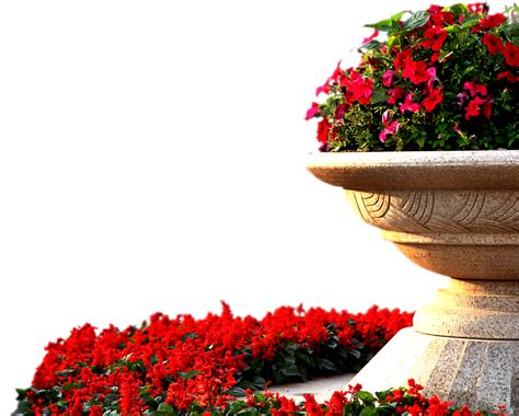 Flower Garden Png Photo Png All