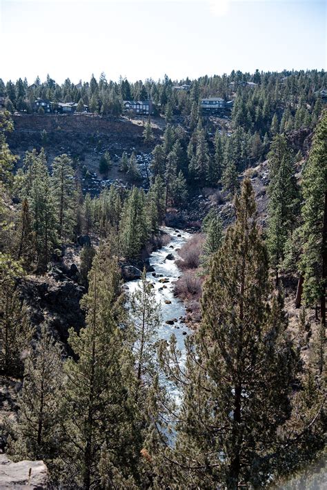 Riley Ranch Nature Reserve Hike Image