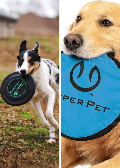 How To Choose the Best Dog Frisbee For Your Pet!