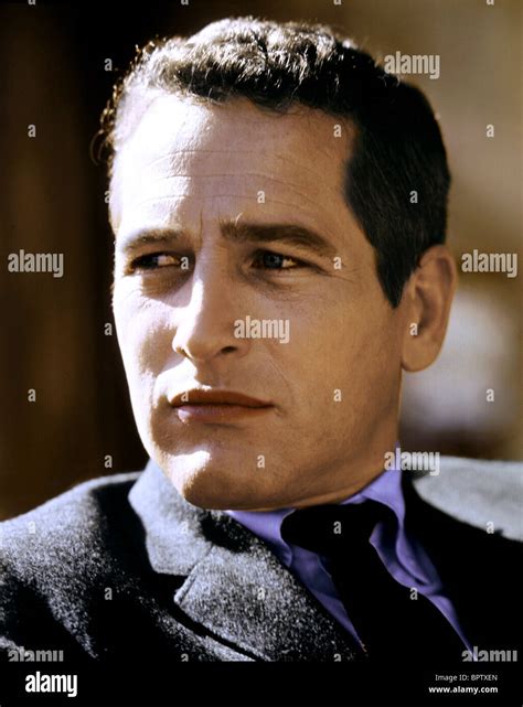 Paul Newman Actor 1963 Stock Photo Alamy