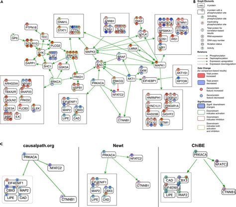 Causalpath Output A Resulting Causal Network B Legend For Graph