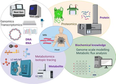 Frontiers Dissecting Host Pathogen Interactions In Tb Using Systems