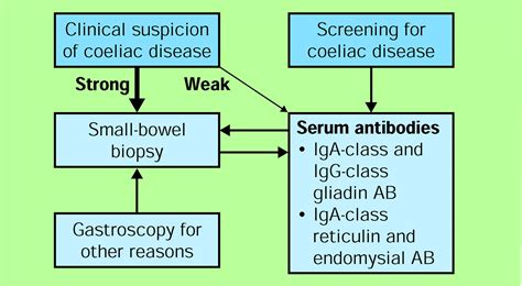 Coeliac Disease The Lancet