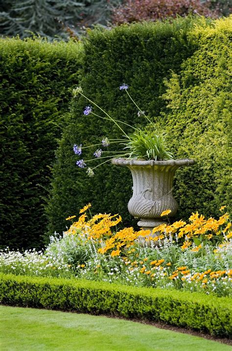23 Garden Border Plants Ideas You Should Look | SharonSable