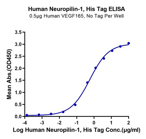 Human Neuropilin 1 Protein NRP HM101