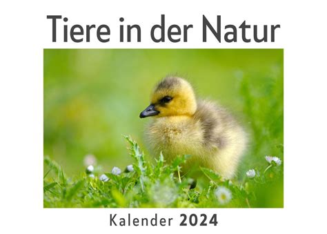 Tiere In Der Natur Wandkalender 2024 Kalender DIN A4 Quer