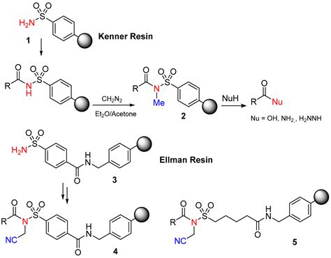 Safety-Catch Linkers for Solid-Phase Peptide Synthesis