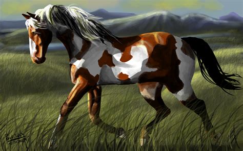 American Paint Horse By Tpavlikova On Newgrounds