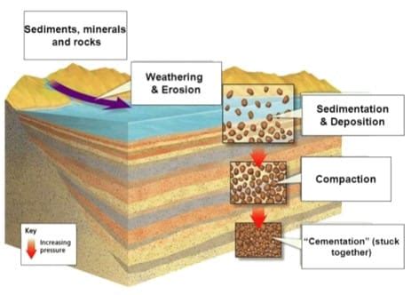 Section Rock Groups Nitty Gritty Science