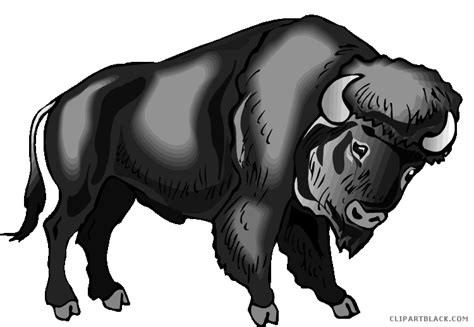 Water Buffalo Clip Art Portable Network Graphics Image Buffalo Head