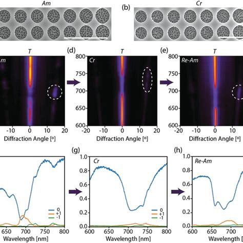 Beamsteering Experiments A B SEM Images Of The 8elements Supercell