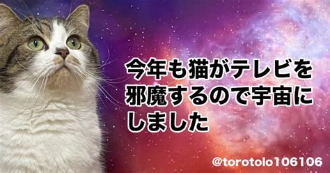 猫、ついに宇宙へ。テレビ視聴を邪魔された飼主の「地味な反撃」がジワジワくるw ｜ ガジェット通信 Getnews