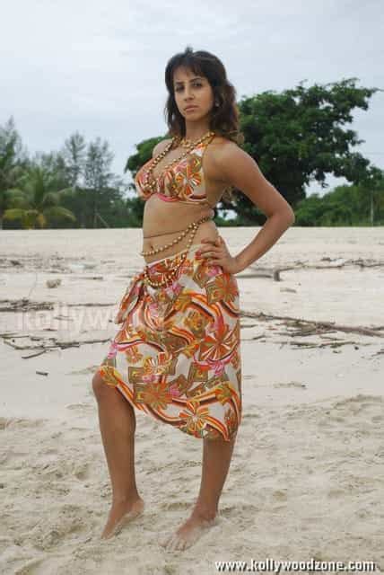Hot Sanjana Pics 05 145957 Kollywood Zone