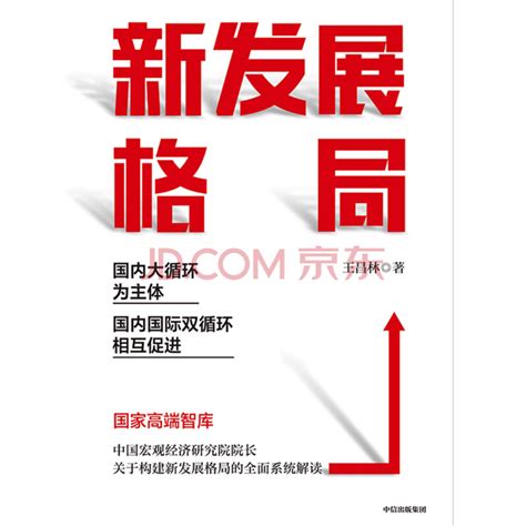 《新发展格局：国内大循环为主体 国内国际双循环相互促进》 王昌林 电子书下载、在线阅读、内容简介、评论 京东电子书频道