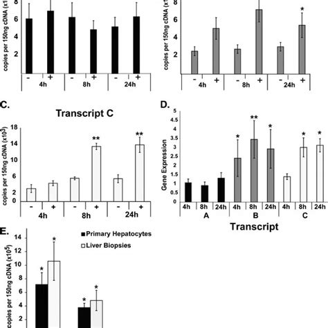 Pemt Snps Are Associated With Cds Risk In Women Shown Is A Schematic