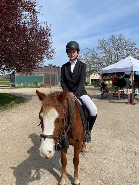 Nos Chevaux Poneys Pour Adultes Et Jeunes Album Photo De Quelques Uns