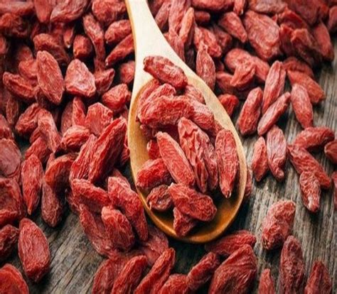 Goji berry Kurt üzümü faydaları ve zararları nelerdir Sağlık Haberleri