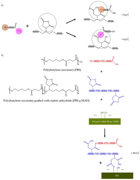 Molecules Free Full Text Peroxide Induced Synthesis Of Maleic