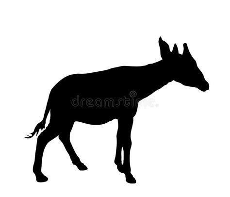 Okapi Silhouette Stock Illustrations – 48 Okapi Silhouette Stock ...