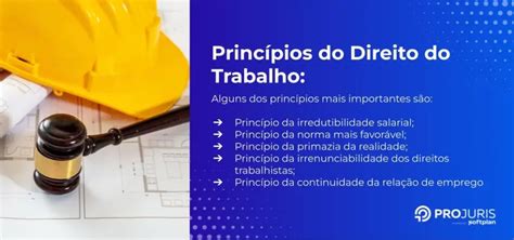 Princ Pios Do Direito Do Trabalho Conhe A Os Principais